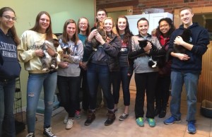Students volunteer at the Marshall County Humane Society.