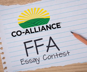 ffa essay contest